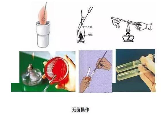 無(wú)菌操作